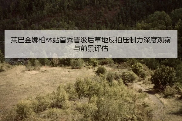 lai-ba-jin-na-bo-lin-zhan-shou-xiu-jin-ji-hou-cao-di-fan-pai-ya-zhi-li-shen-du-guan-cha-yu-qian-jing-ping-gu-2-869.jpg