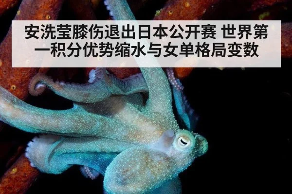 安洗莹膝伤退出日本公开赛 世界第一积分优势缩水与女单格局变数